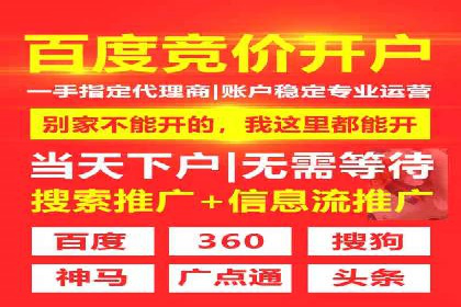 SEM运营推广助力行业领导地位